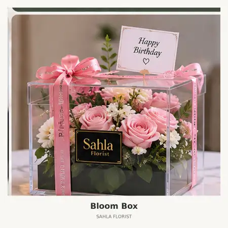 Bloom Box Solear